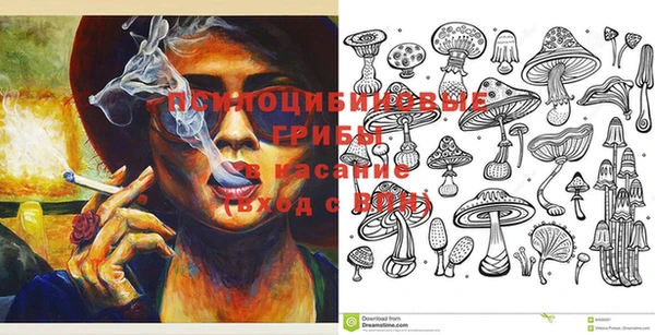 ГАЛЛЮЦИНОГЕННЫЕ ГРИБЫ Алзамай