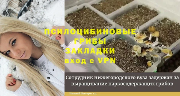 соль ск Алексеевка