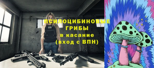 ECSTASY Алексин