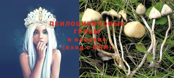 ГАЛЛЮЦИНОГЕННЫЕ ГРИБЫ Алзамай