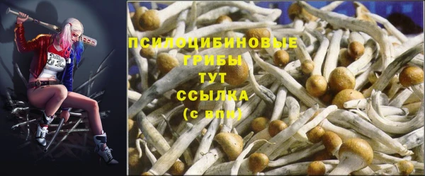 ГАЛЛЮЦИНОГЕННЫЕ ГРИБЫ Алзамай