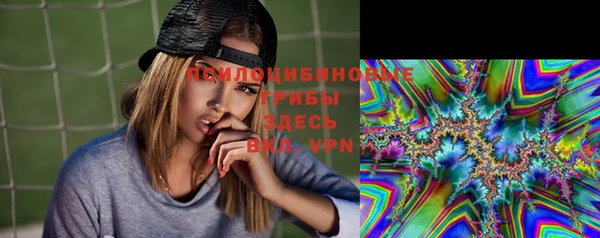 ГАЛЛЮЦИНОГЕННЫЕ ГРИБЫ Алзамай