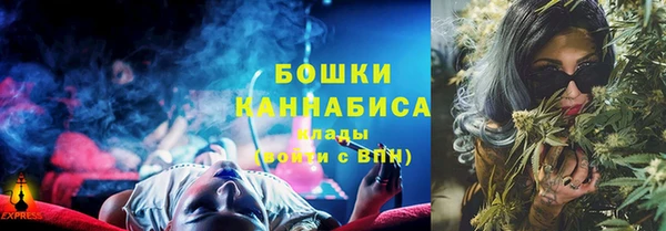 ГАЛЛЮЦИНОГЕННЫЕ ГРИБЫ Алзамай