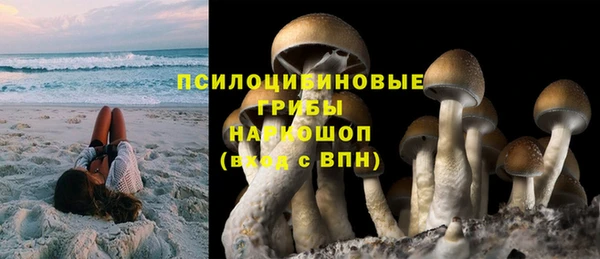 ГАЛЛЮЦИНОГЕННЫЕ ГРИБЫ Алзамай