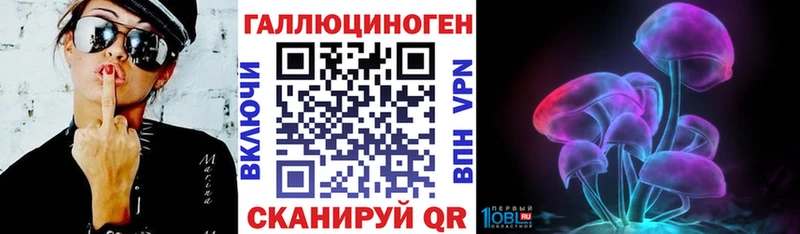купить наркотик  Щигры  Галлюциногенные грибы Magic Shrooms 